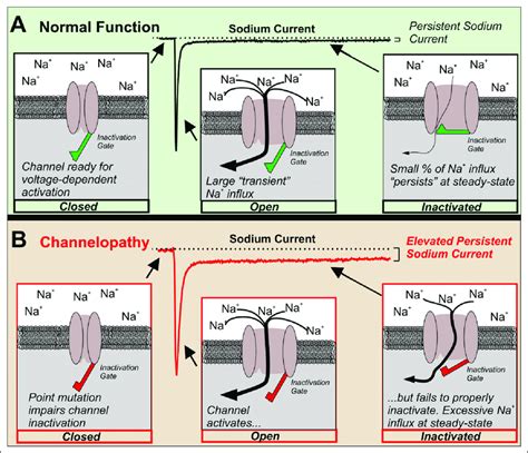 channelopathy associated epilepsy